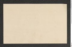 k.k. naturhistorisches Hofmuseum, Intendanzakten 1885-1896 (Hauer), Aktenzahl Z.38/1891, Seite 6